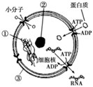 菁優(yōu)網(wǎng)