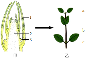 菁優(yōu)網