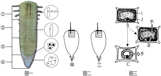 菁優(yōu)網(wǎng)