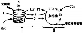 菁優(yōu)網