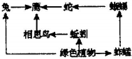 菁優(yōu)網