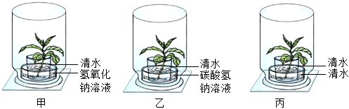 菁優(yōu)網