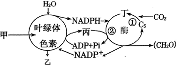 菁優(yōu)網(wǎng)