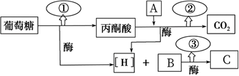 菁優(yōu)網(wǎng)