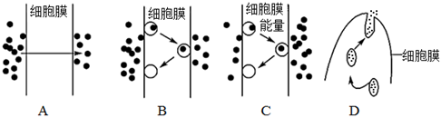 菁優(yōu)網