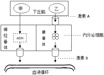 菁優(yōu)網(wǎng)