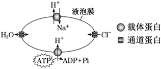 菁優(yōu)網(wǎng)