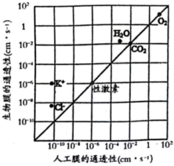 菁優(yōu)網