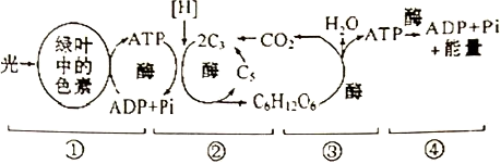 菁優(yōu)網(wǎng)