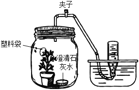 菁優(yōu)網(wǎng)