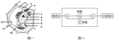 菁優(yōu)網