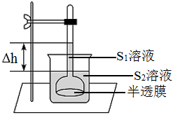 菁優(yōu)網