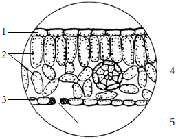 菁優(yōu)網