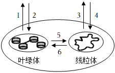 菁優(yōu)網(wǎng)