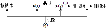 菁優(yōu)網(wǎng)