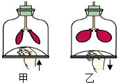 菁優(yōu)網(wǎng)