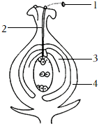 菁優(yōu)網