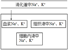 菁優(yōu)網(wǎng)