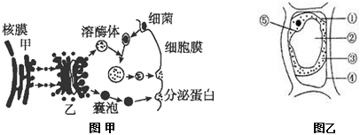 菁優(yōu)網(wǎng)