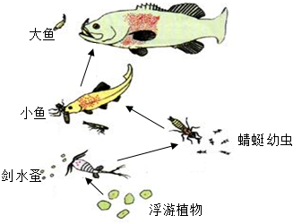 菁優(yōu)網(wǎng)