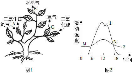 菁優(yōu)網(wǎng)