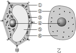 菁優(yōu)網