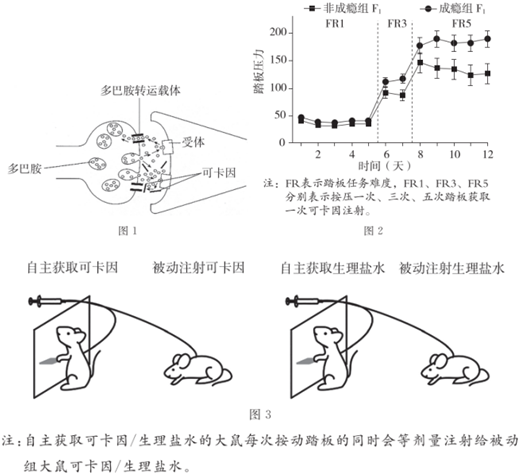 菁優(yōu)網