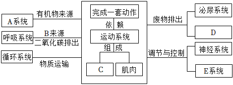 菁優(yōu)網(wǎng)