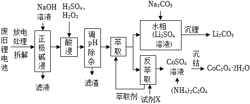 菁優(yōu)網(wǎng)