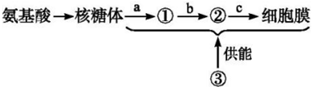 菁優(yōu)網(wǎng)