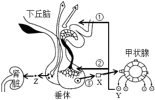 菁優(yōu)網(wǎng)