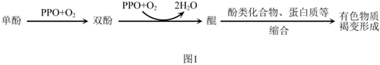 菁優(yōu)網