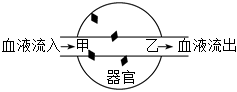 菁優(yōu)網(wǎng)