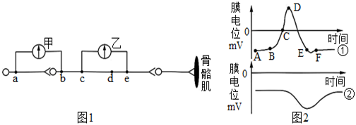 菁優(yōu)網(wǎng)