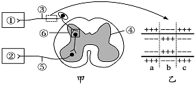 菁優(yōu)網