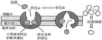 菁優(yōu)網(wǎng)