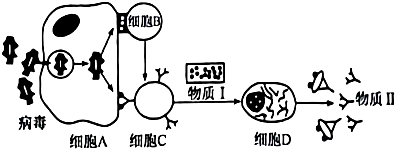 菁優(yōu)網(wǎng)