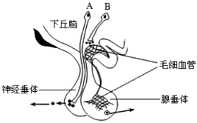 菁優(yōu)網(wǎng)