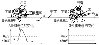 菁優(yōu)網(wǎng)