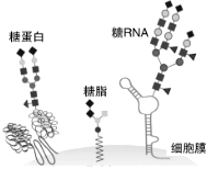 菁優(yōu)網