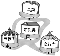 菁優(yōu)網(wǎng)