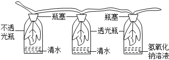 菁優(yōu)網(wǎng)