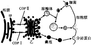 菁優(yōu)網(wǎng)