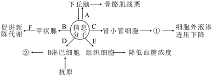 菁優(yōu)網(wǎng)