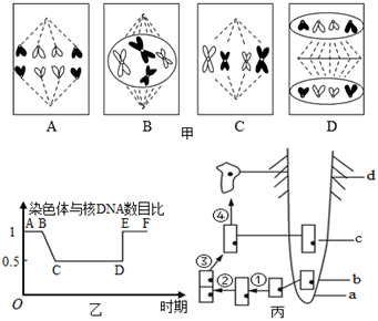 菁優(yōu)網(wǎng)