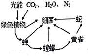 菁優(yōu)網(wǎng)