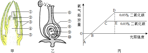 菁優(yōu)網(wǎng)