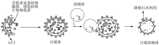 菁優(yōu)網