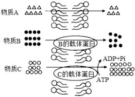 菁優(yōu)網(wǎng)