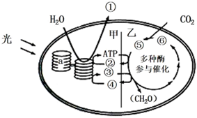 菁優(yōu)網(wǎng)